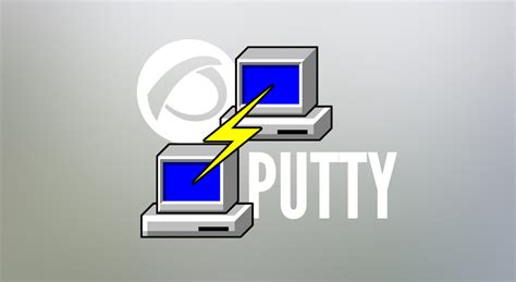 what is a putty insert